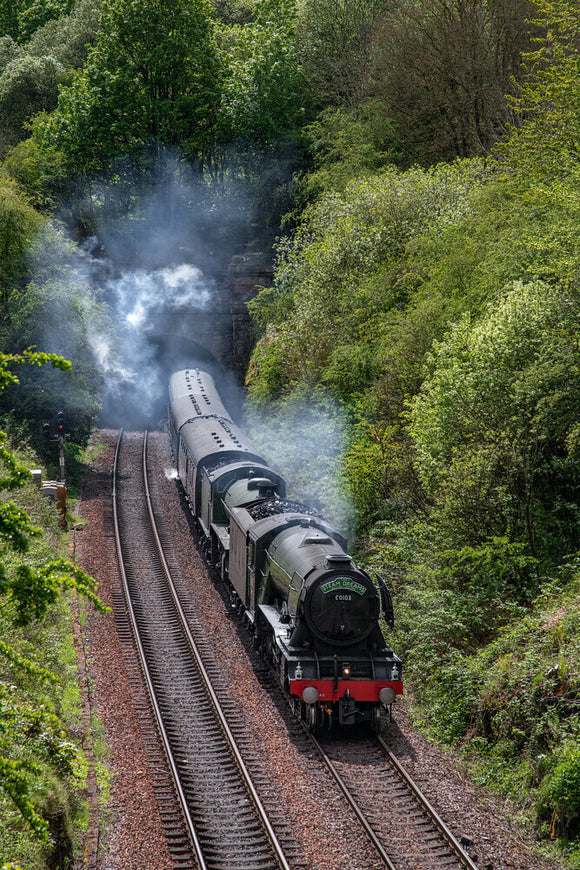 60103 locomotive and 61306 locomotive at Moncrieffe Tunnel 10th May 2019