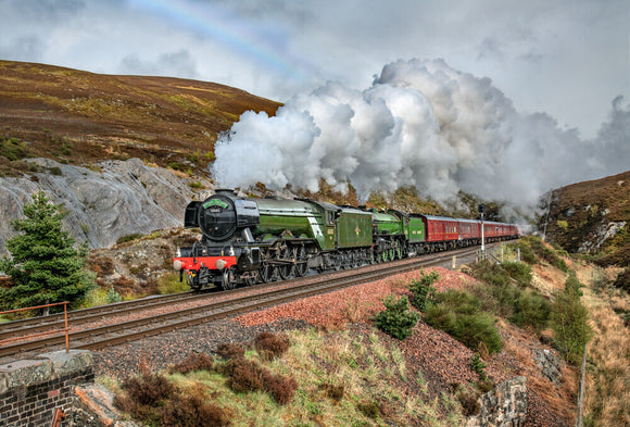 60103 locomotive and 61306 locomotive at Sloch 10th May 2019